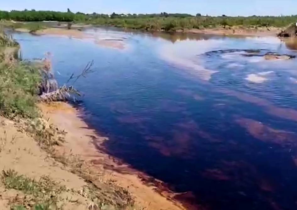 Surxondaryoda neft daryo oʻzaniga oqib ketdi (video)